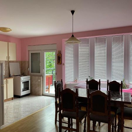 Guest House Trajkovic ג'אגודינה מראה חיצוני תמונה
