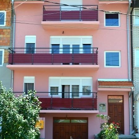 Guest House Trajkovic ג'אגודינה מראה חיצוני תמונה