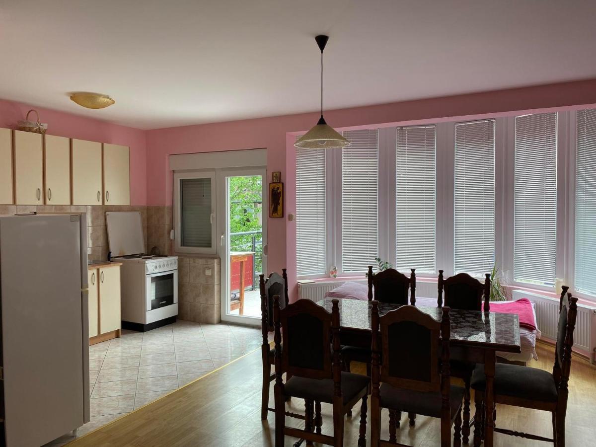Guest House Trajkovic ג'אגודינה מראה חיצוני תמונה