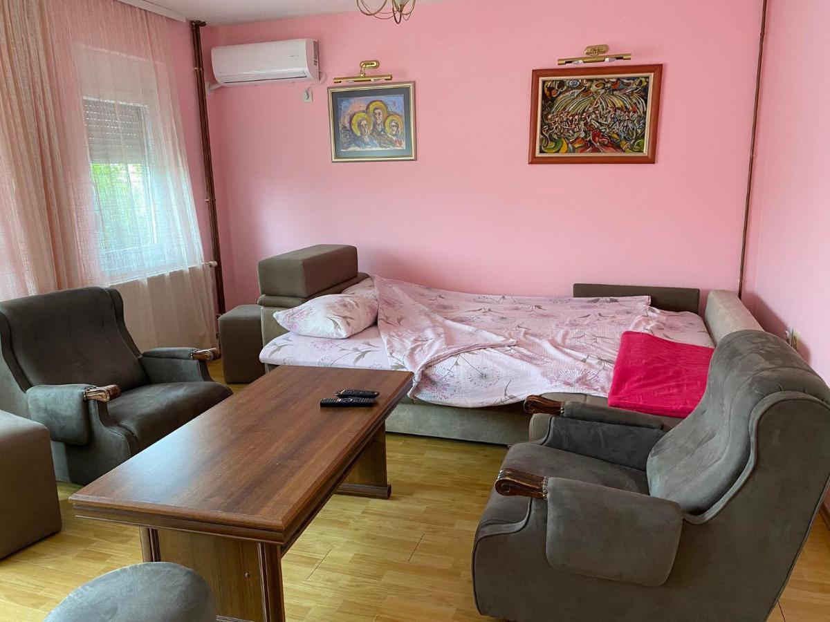 Guest House Trajkovic ג'אגודינה מראה חיצוני תמונה