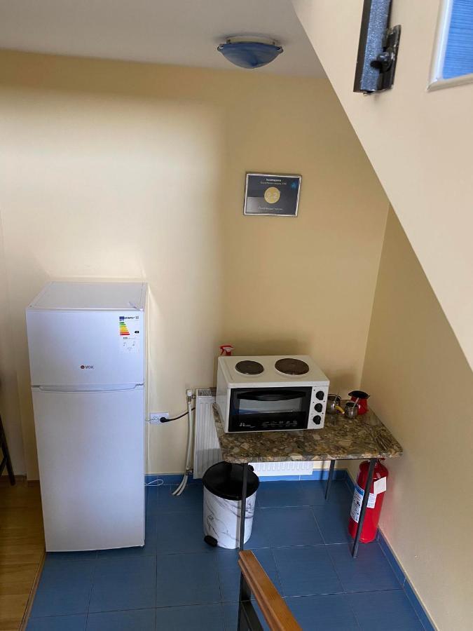 Guest House Trajkovic ג'אגודינה מראה חיצוני תמונה