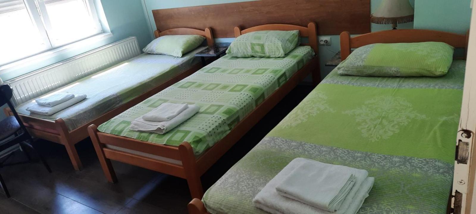 Guest House Trajkovic ג'אגודינה מראה חיצוני תמונה