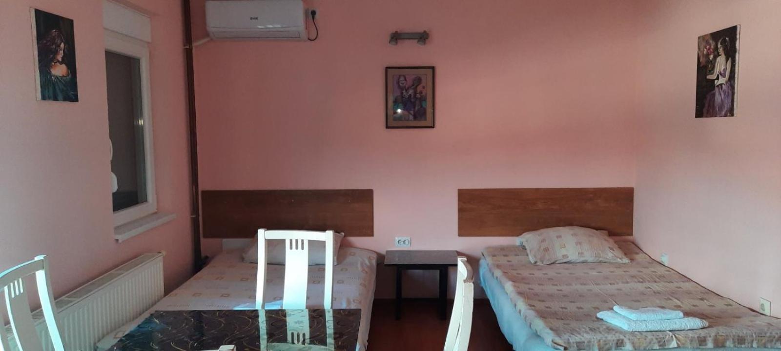 Guest House Trajkovic ג'אגודינה מראה חיצוני תמונה
